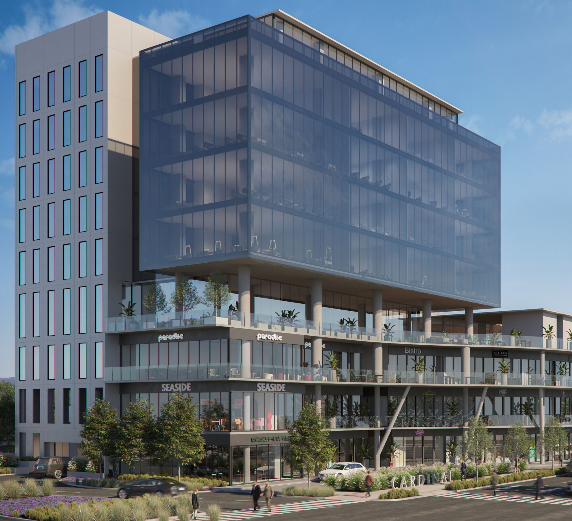 Collective Real Estate - Cardinal 1