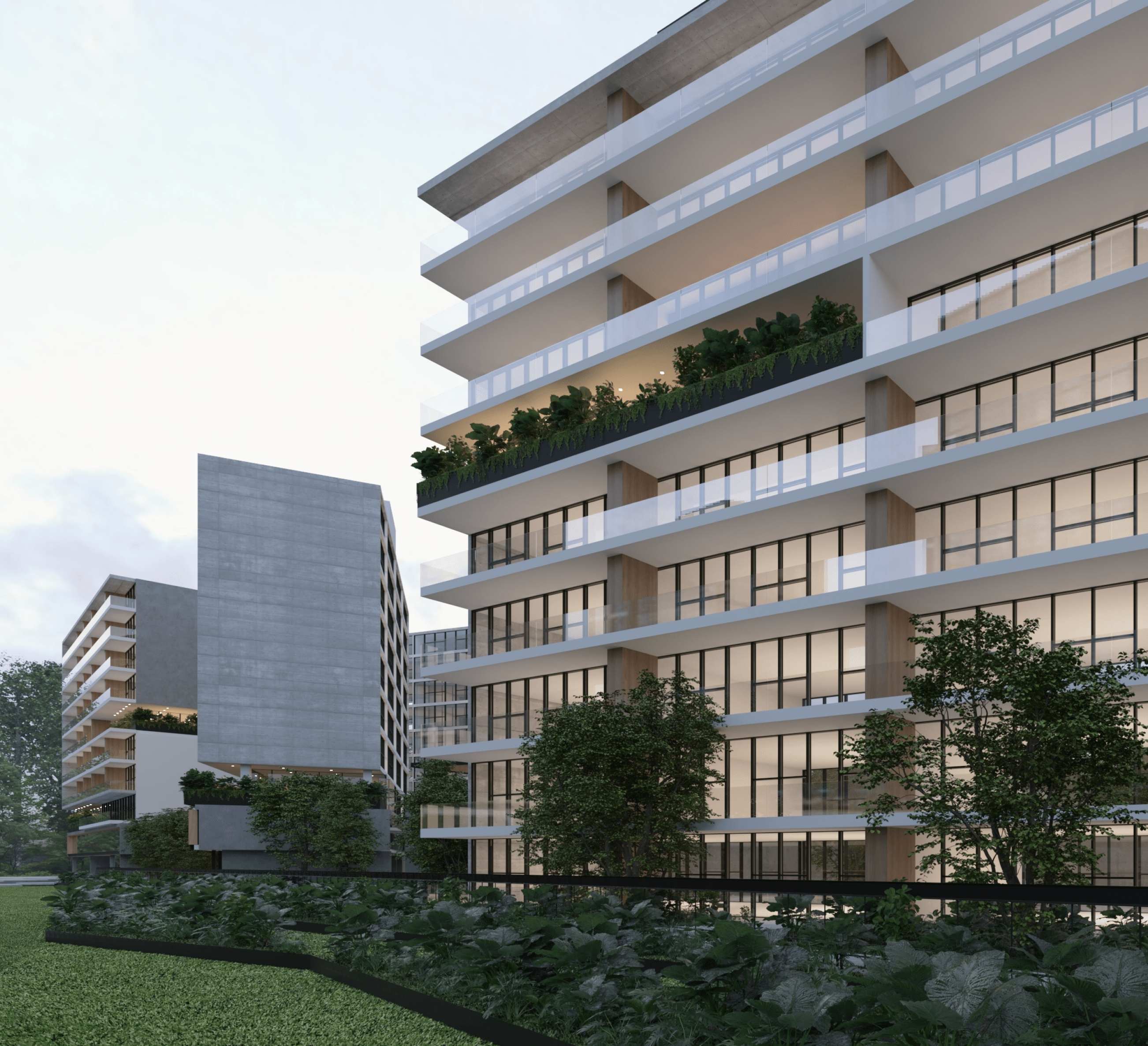 Collective Real Estate - Zapopan 2